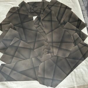 14-Piece NOS W124 E500 Limited Leather Inserts